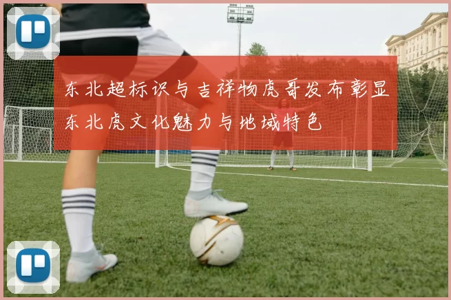东北超标识与吉祥物虎哥发布彰显东北虎文化魅力与地域特色